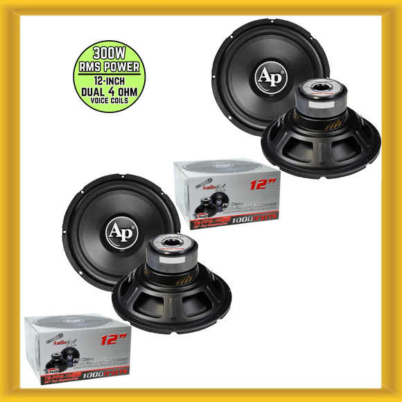 x2 Audiopipe 12